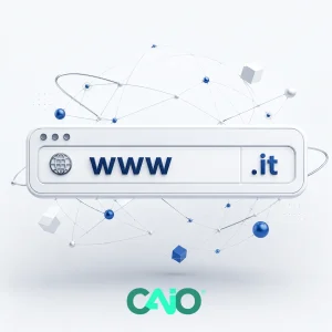 Dominio Web